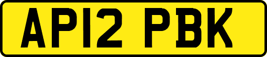 AP12PBK