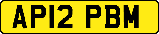 AP12PBM