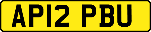AP12PBU