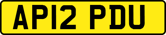 AP12PDU