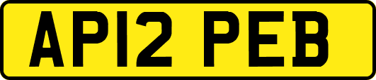 AP12PEB