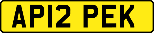 AP12PEK