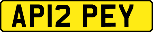 AP12PEY
