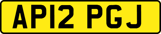 AP12PGJ