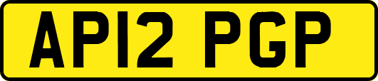 AP12PGP