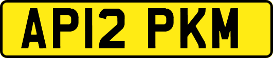 AP12PKM