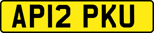 AP12PKU