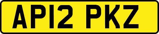 AP12PKZ