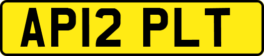 AP12PLT