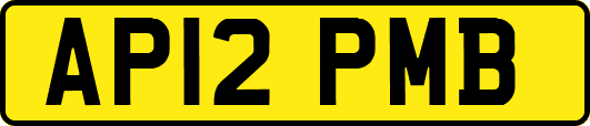 AP12PMB