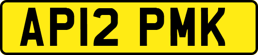 AP12PMK