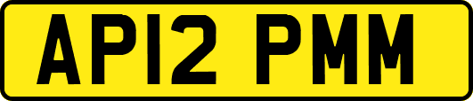 AP12PMM