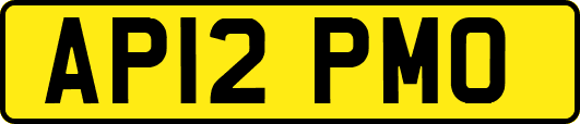 AP12PMO