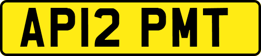 AP12PMT