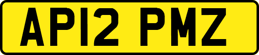 AP12PMZ