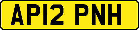 AP12PNH