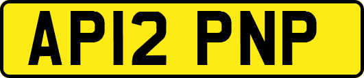 AP12PNP