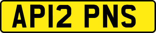 AP12PNS