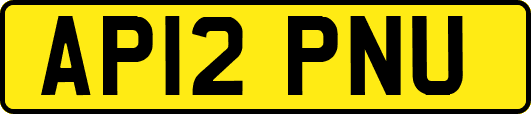 AP12PNU