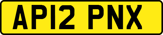 AP12PNX