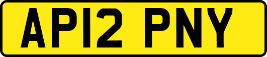 AP12PNY