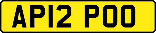 AP12POO