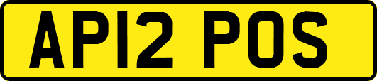 AP12POS