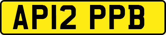 AP12PPB