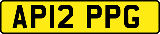 AP12PPG