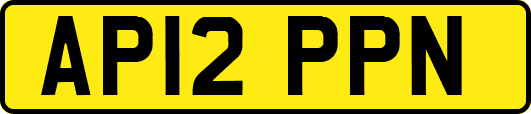 AP12PPN