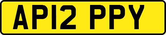 AP12PPY