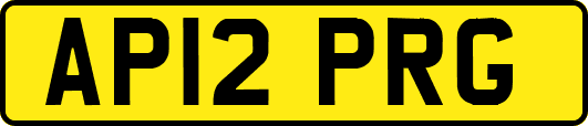 AP12PRG