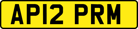 AP12PRM