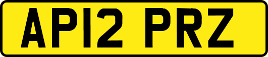AP12PRZ
