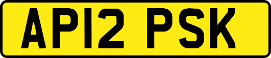 AP12PSK