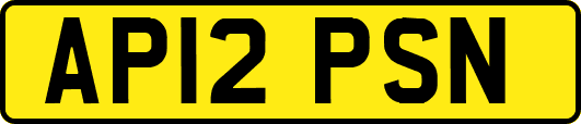 AP12PSN