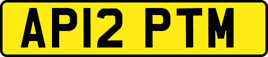 AP12PTM