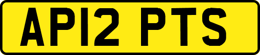 AP12PTS