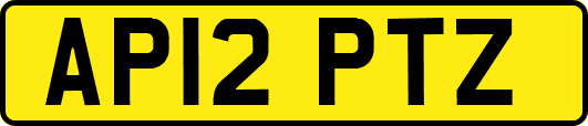 AP12PTZ