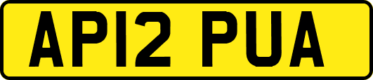 AP12PUA
