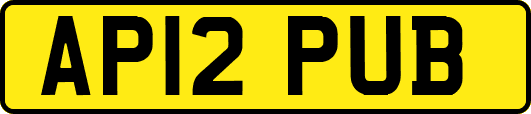 AP12PUB