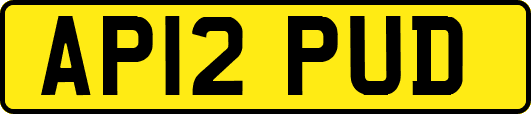 AP12PUD