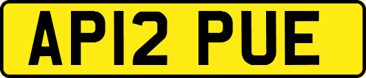 AP12PUE