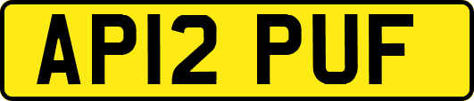 AP12PUF