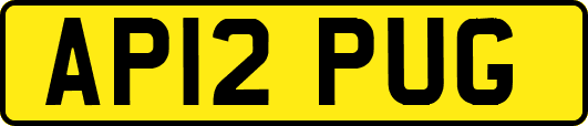 AP12PUG