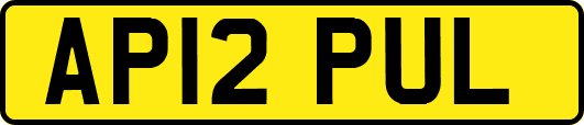AP12PUL