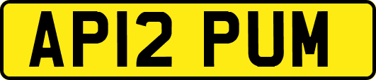 AP12PUM