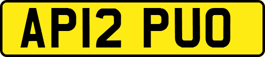 AP12PUO