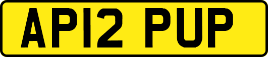 AP12PUP