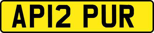 AP12PUR